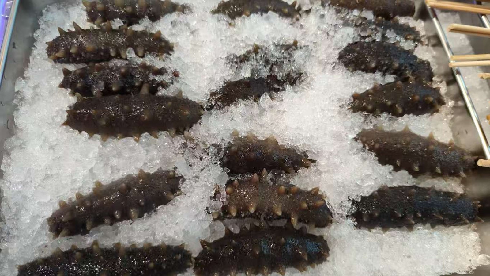 京都小肥羊·火锅大排档寿光店鲜切肉类与配菜展示实拍